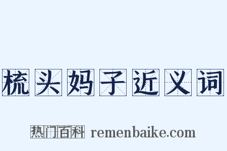 梳头妈子近义词是什么意思的图片